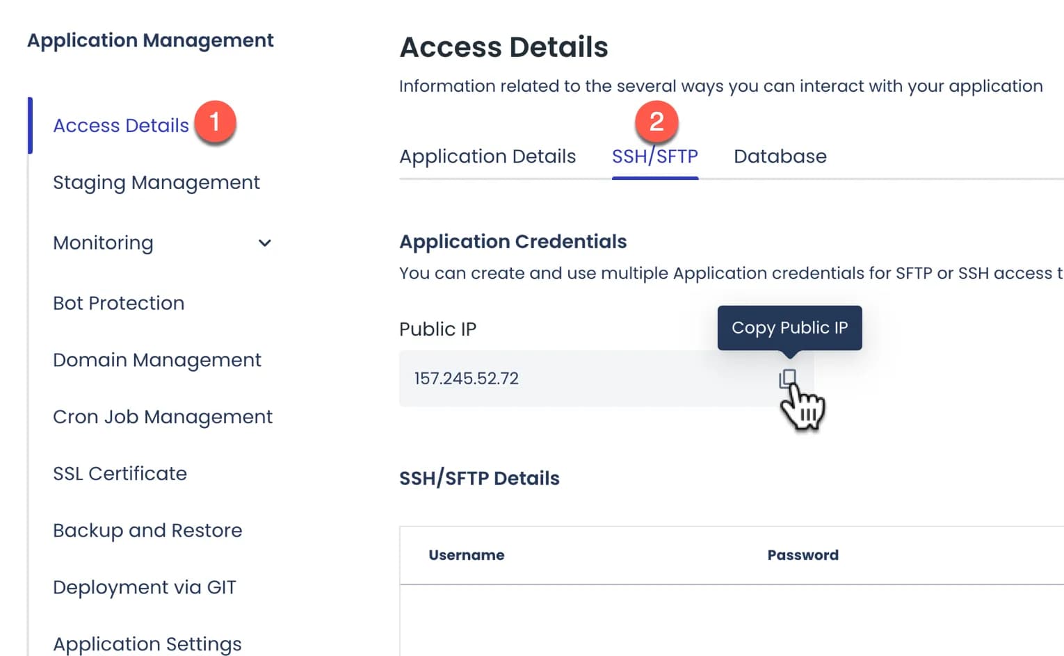 IP Address server Cloudways