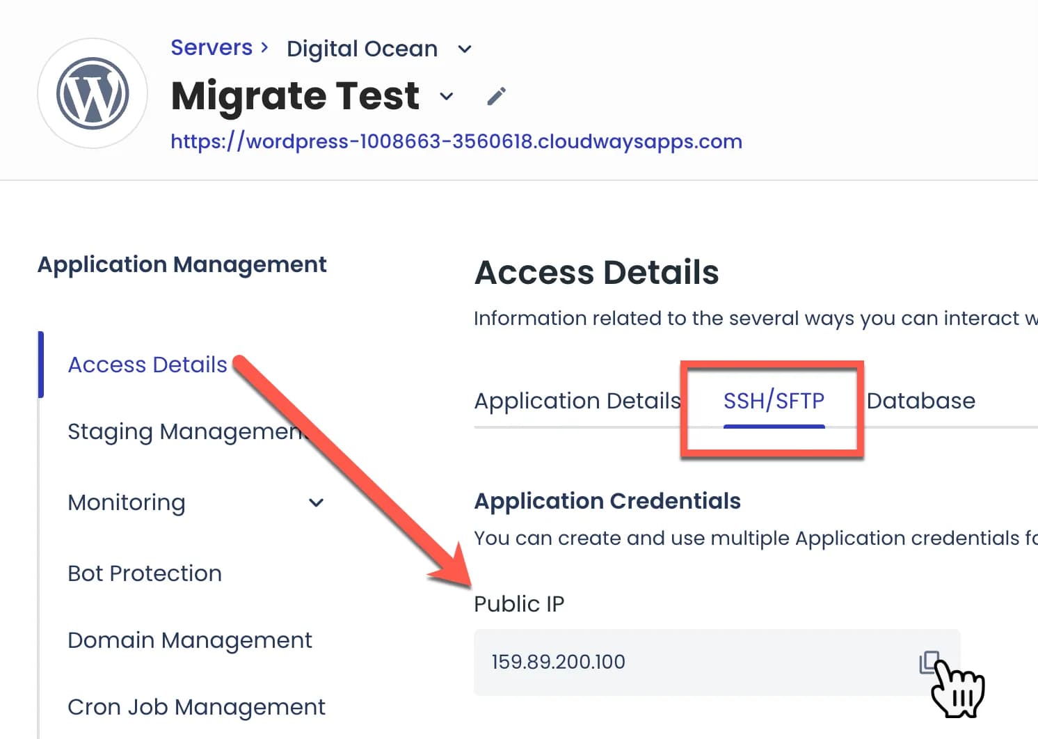 IP Public server Cloudways