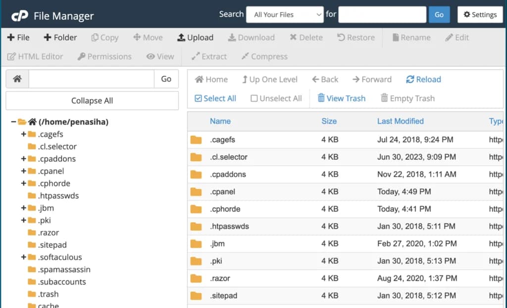 File Manager di cPanel