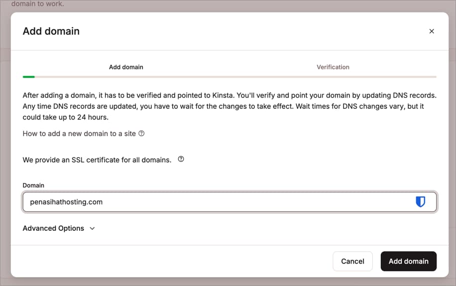 MyKinsta - Add Domain MyKinsta - Add Domain