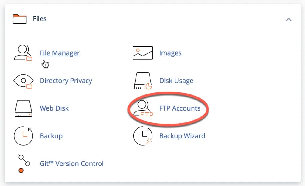 Bagian FTP Accounts di cPanel